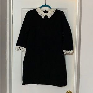 Black Ted Baker Dress with lace collar and cuffs